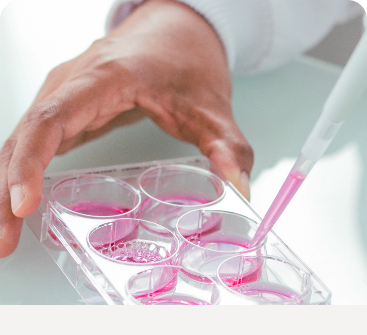 Hand holding a transparent tray with six wells, each filled with pink liquid, while a pipette is adding more liquid to one well.